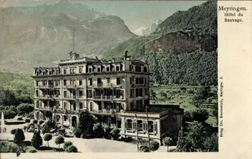 Ak Meyringen Kanton Bern, Hotel du Sauvage