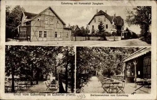 Ak Eckertal Bad Harzburg am Harz, Gasthaus Eckerkrug, Kuranstalt Jungborn