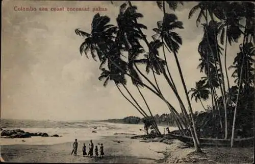 Ak Colombo Ceylon Sri Lanka, Meeresküste Kokospalmen