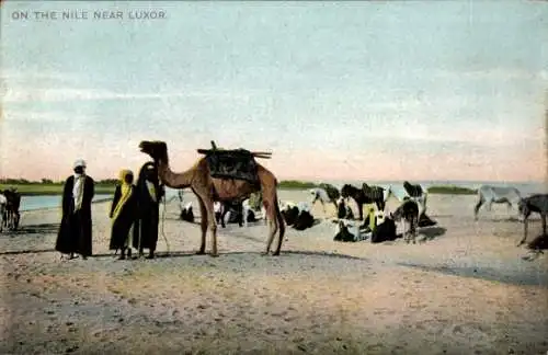 Ak Luxor Ägypten, Am Nil