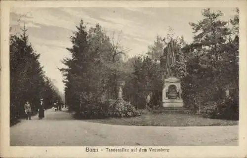 Ak Bonn, Tannenallee auf dem Venusberg, Denkmal