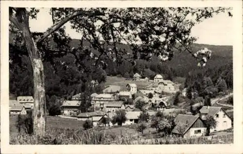 Ak Le Hohwald Elsass Bas Rhin, Panorama