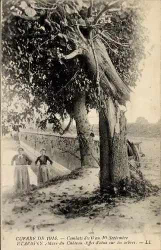 Ak Étavigny Oise, Mare du Chateau, Effet d'obus sur les arbres, zerstörter Baum, Krieg 1914