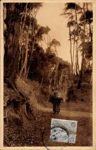 Ak Japan, Japaner, Träger, Korb, Waldstraße