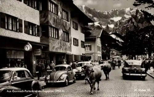 Ak Garmisch Partenkirchen in Oberbayern, Zugspitze, Straßenszene, Kühe, Viehtrieb