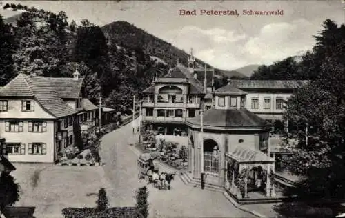 Ak Bad Peterstal Griesbach im Schwarzwald Baden, Teilansicht