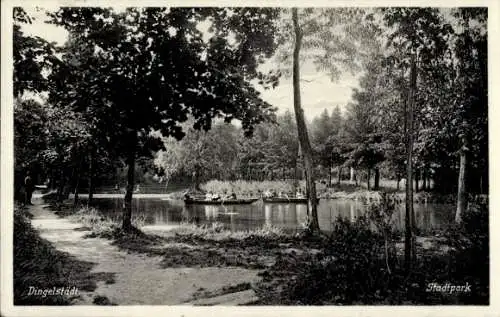 Ak Dingelstädt in Thüringen, Stadtpark, Teich, Ruderboote