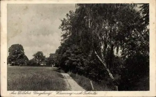 Ak Technitz Döbeln in Mittelsachsen, Wiesenweg nach Technitz, Birke