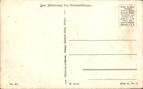 Ak Technitz Döbeln in Mittelsachsen, Wiesenweg nach Technitz, Birke