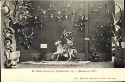 Ak Karlsruhe in Baden, Sonderausstellung Hagenbeck, Deutsch-Koloniale Jagdausstellung 1903