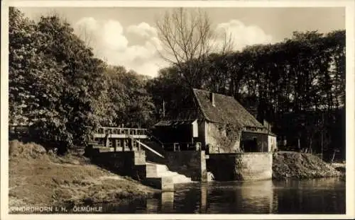 Ak Nordhorn in der Grafschaft Bentheim, Ölmühle