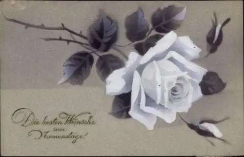 Ak Glückwunsch Namenstag, Weiße Rose