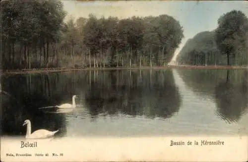 Ak Beloeil Wallonien Hennegau, Bassin de la Heronniere