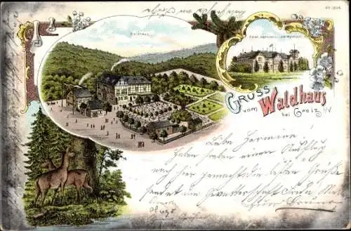 Litho Mohlsdorf Teichwolframsdorf in Thüringen, Waldhaus, Jagdschloss