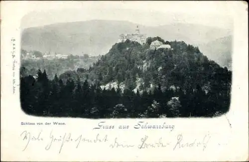 Ak Schwarzburg in Thüringen, Blick auf das Schloss