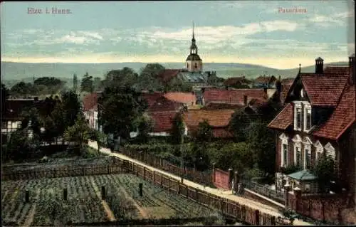 Ak Elze Kreis Hildesheim, Panorama