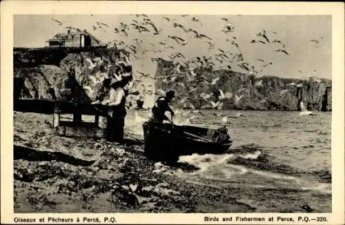 Ak Percé Québec Kanada, Birds and Fisherman, Fischerboot am Strand, Seevögel