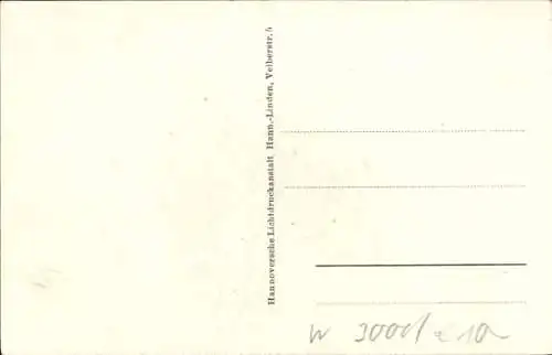 Ak Hannover in Niedersachsen, 9. Deutsches Sängerbundesfest 1924