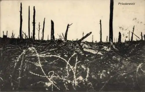 Ak Pont à Mousson Meurthe-et-Moselle, Priesterwald, Kriegsschauplatz 1. WK, Stacheldraht