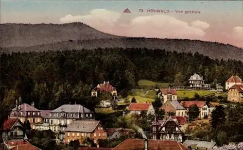 Ak Le Hohwald Elsass Bas Rhin, Panorama