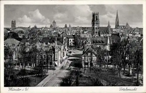 Ak Münster in Westfalen, Totalansicht, Turm