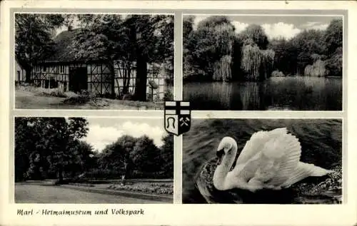 Wappen Ak Marl Ruhrgebiet, Heimatmuseum und Volkspark, Schwan