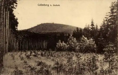 Ak Collmberg Collm Wermsdorf Sachsen, Lichtung