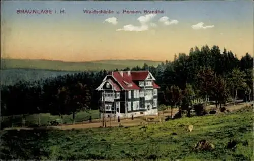 Ak Braunlage im Oberharz, Waldschänke, Pension Brandhai