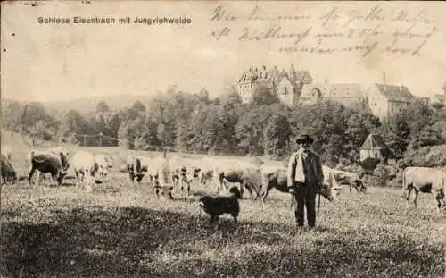 Ak Lauterbach in Hessen, Schloss Eisenbach, Jungviehweide