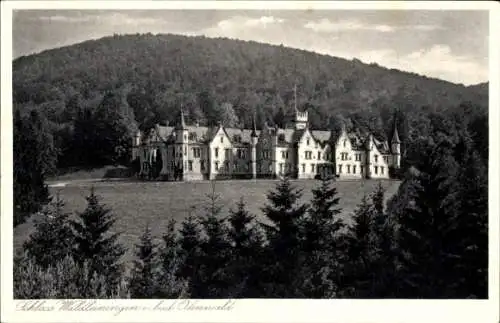 Ak Ernsttal Mudau im Odenwald, Schloss Waldleiningen, Gesamtansicht