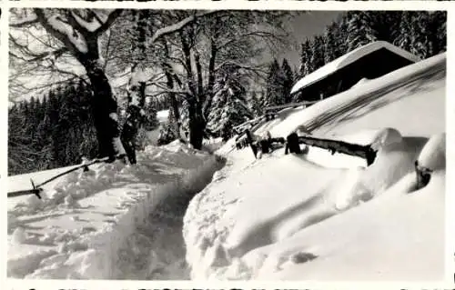 Ak Leysin Kanton Waadt, Chemin de Prafandaz