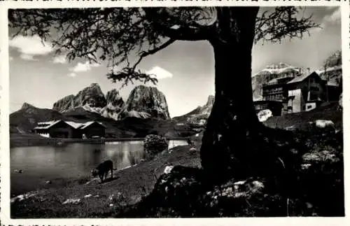 Ak Dolomiten Südtirol, Langkofelgruppe