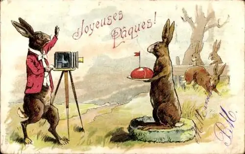 Litho Glückwunsch Ostern, Vermenschlichter Hase als Fotograf mit Fotoapparat