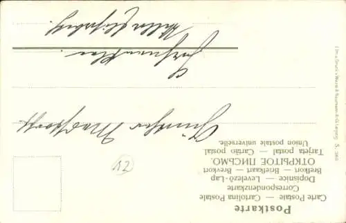 Künstler Litho Eisbär, Tierportrait