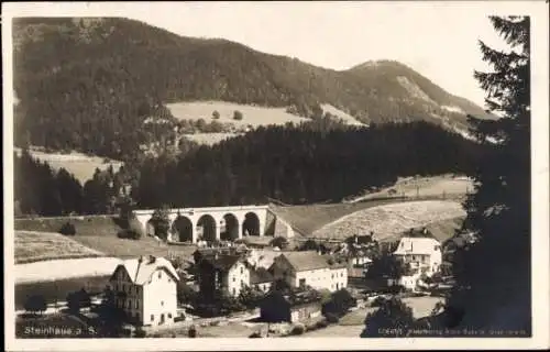 Ak Steinhaus am Semmering Steiermark, Gesamtansicht, Viadukt