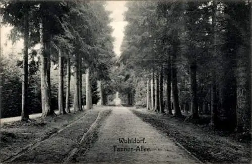 Ak Hamburg Wandsbek Wohldorf, Tannen-Allee