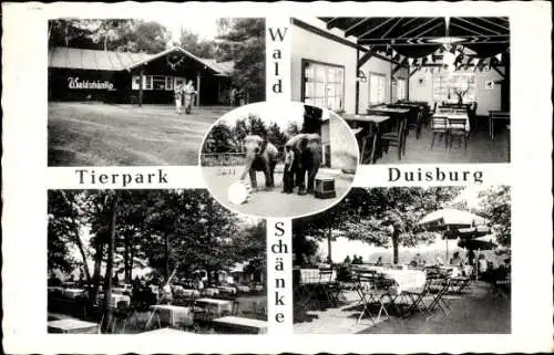 Ak Duisburg im Ruhrgebiet, Waldschänke, Tierpark, Elefanten