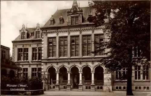 Ak Münster Westfalen, Universität