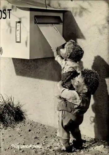 Ak Mecki der Igel, Wir gratulieren, Mecki und Igelkind am Briefkasten