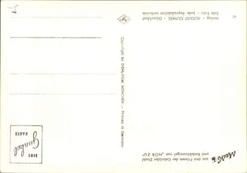 Ak Mecki der Igel, Wir gratulieren, Mecki und Igelkind am Briefkasten