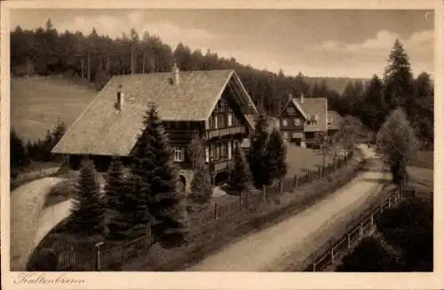 Ak Kaltenbronn Gernsbach im Murgtal Schwarzwald, Häusergruppe