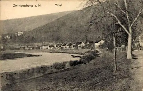 Ak Zwingenberg am Neckar Baden, Totalansicht