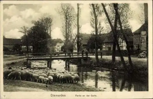 Ak Diemarden Gleichen in Niedersachsen, Garte, Brücke, Schafe