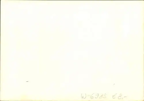 Ak Stadtprozelten am Main Unterfranken, Schäfflertanz, Fachwerkhäuser