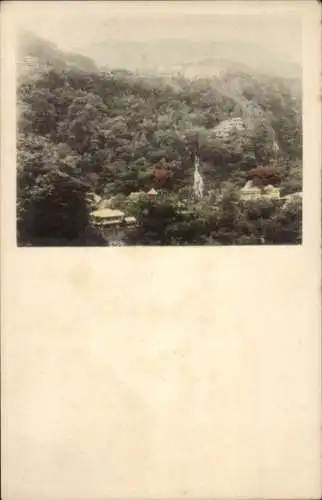 Ak Japan, Gesamtansicht, Wald, Wohnhäuser