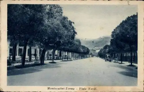 Ak Montecatini Terme Toskana, Viale Verdi, Allee