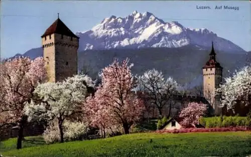 Ak Luzern Stadt Schweiz, Musegg
