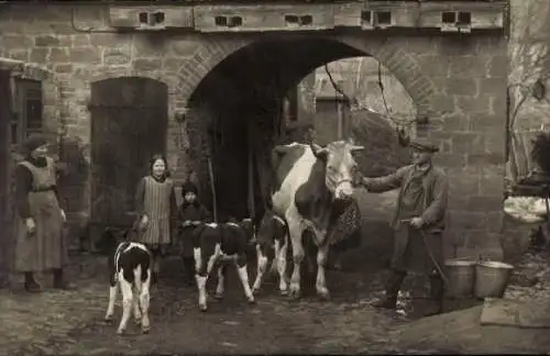 Foto Ak Nelben Könnern im Salzlandkreis, Bauernhof, Bauern, Kühe, Jahr 1930