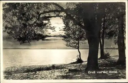 Ak Berlin Spandau Wilhelmstadt Pichelswerder, Gruß von der Havel, Uferpartie