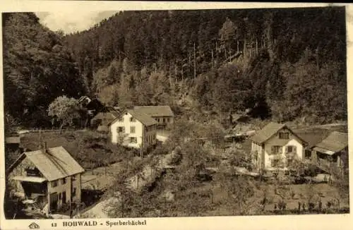 Ak Hohwald Elsass Bas Rhin, Sperberbächel